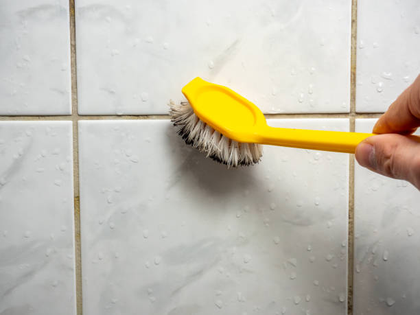  Colorado City, TX Mold Removal Pros