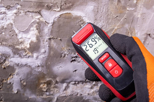 Best Mold Testing and Inspection Services in Colorado City, TX