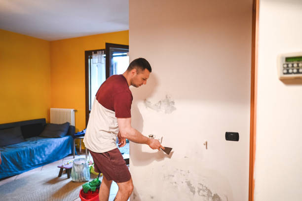 Best DIY Mold Remediation Support Services in Colorado City, TX